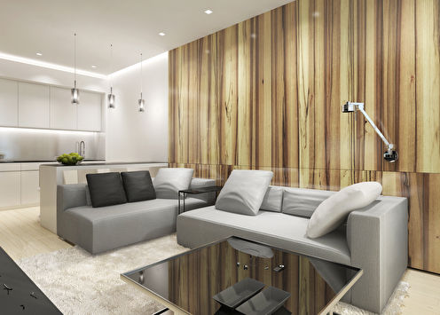 Apartment design 55 sq.m. in Moscow