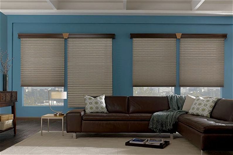 Blinds Pleated