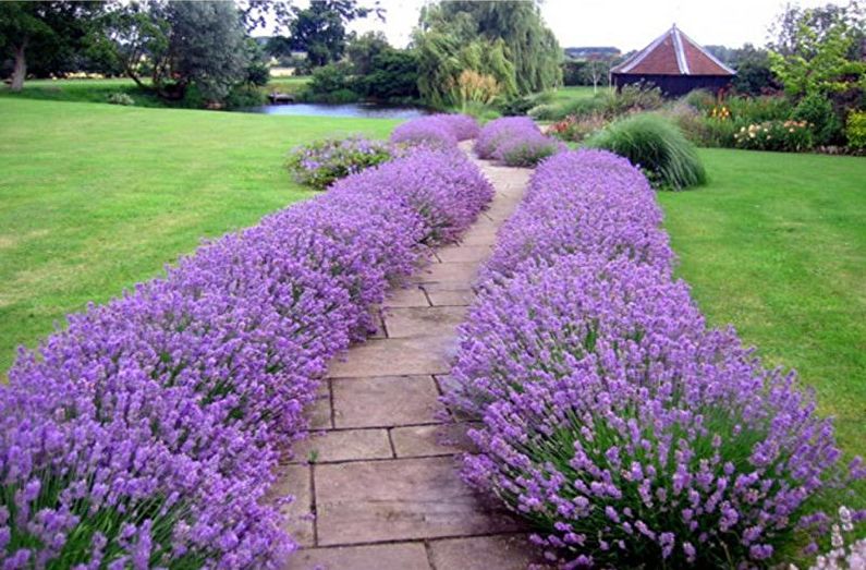 Border - Blomsterrabatt i stugan, idéer för landskapsdesign