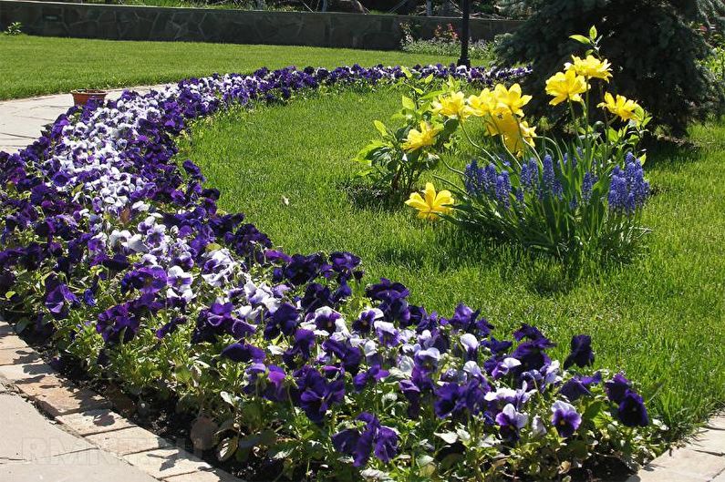 Sınır - yazlık Flowerbed, peyzaj tasarımı için fikirler