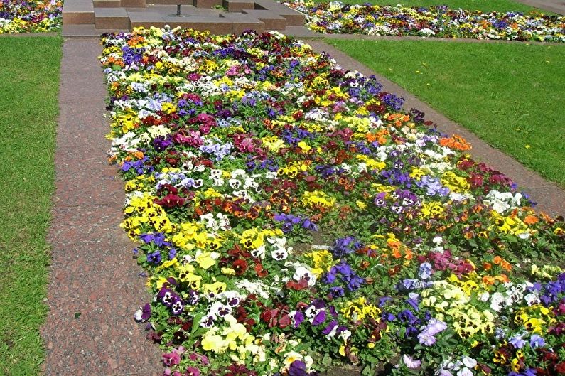 Rabatka - Parterre de fleurs au chalet, idées d'aménagement paysager