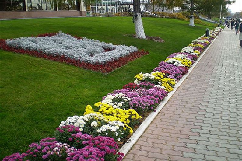 Rabatka - Yazlık çiçeklik, peyzaj tasarımı için fikirler