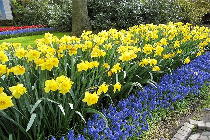 Rabatka - Blomsterrabatt på stugan, idéer för landskapsdesign