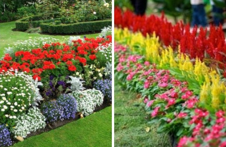 Rabatka - Parterre de fleurs au chalet, idées d'aménagement paysager