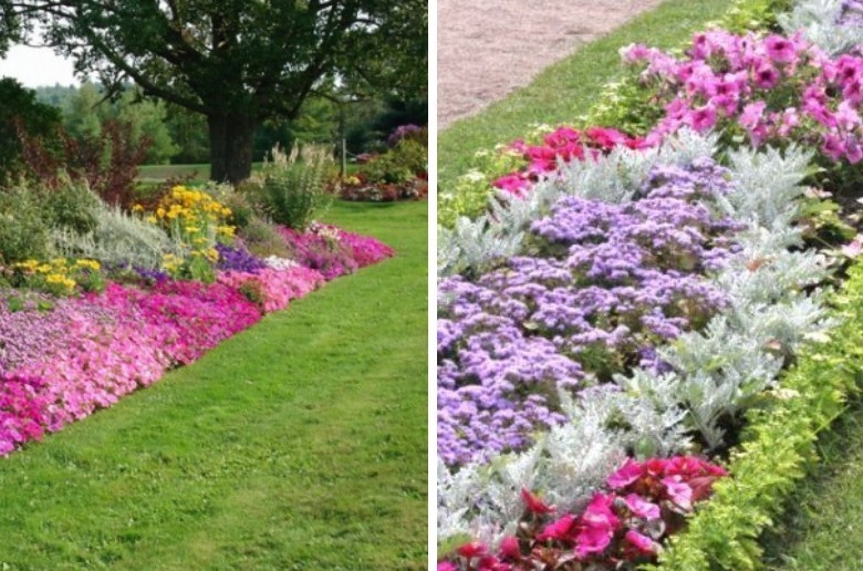 Rabatka - Blomsterrabatt på stugan, idéer för landskapsdesign