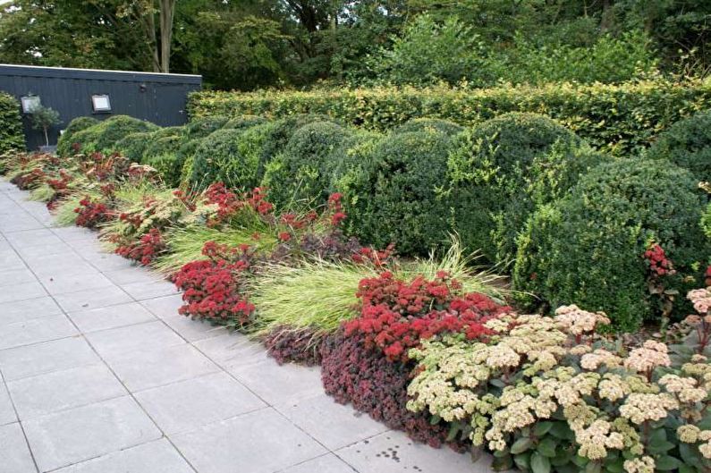 Mixborder - Bloembed in het huisje, ideeën voor landschapsontwerp