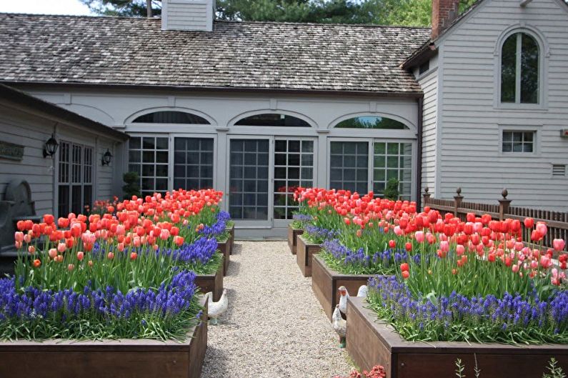 Modüler çiçek tarhları - Ülkede Flowerbed, peyzaj tasarımı için fikirler