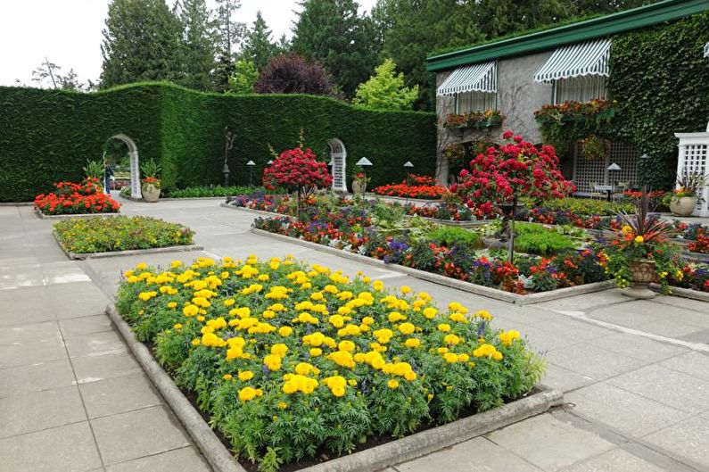 Macizos de flores modulares - Macizo de flores en el país, ideas para el diseño del paisaje