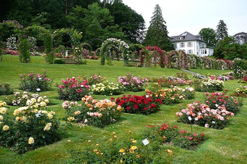 Modulära blomsterbäddar - Blomsterrabatt i landet, idéer för landskapsdesign