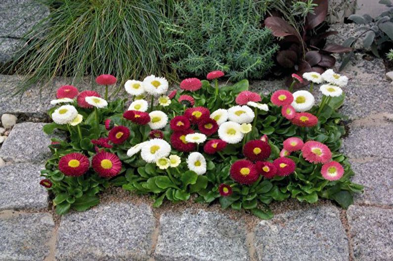 Modüler çiçek tarhları - Ülkede Flowerbed, peyzaj tasarımı için fikirler