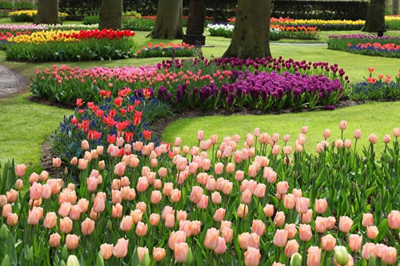 Monocots - Parterre de fleurs au chalet, idées d'aménagement paysager