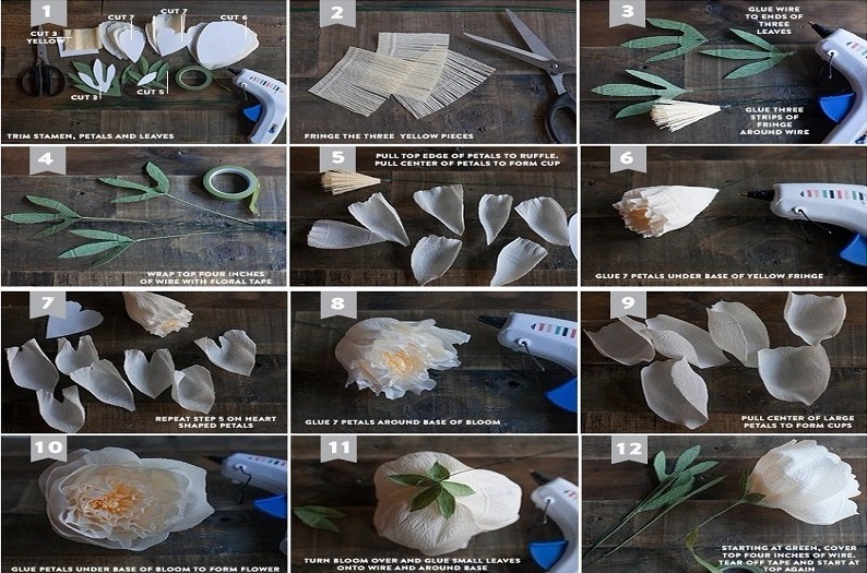 Pfingstrosen - DIY Papierblumen