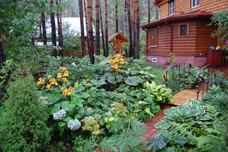 Ecostyle - Paisagismo da dacha sazonal