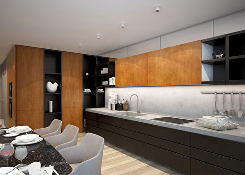 Kitchen design in a modern style.