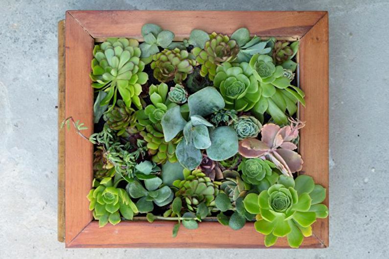 Eco-pintures: pintures de bricolatge per a l'interior