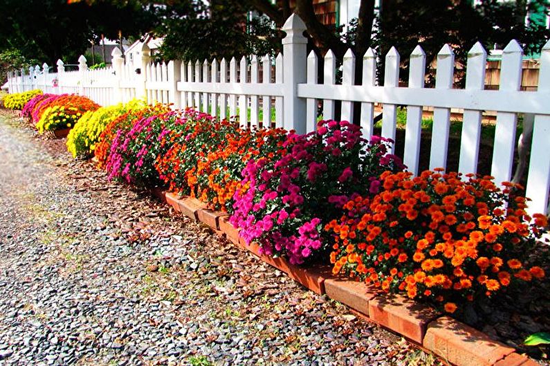 Flores para el jardín - Tipos