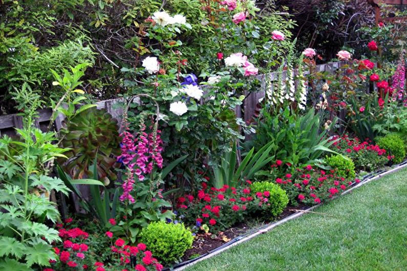 Flores para el jardín - Tipos