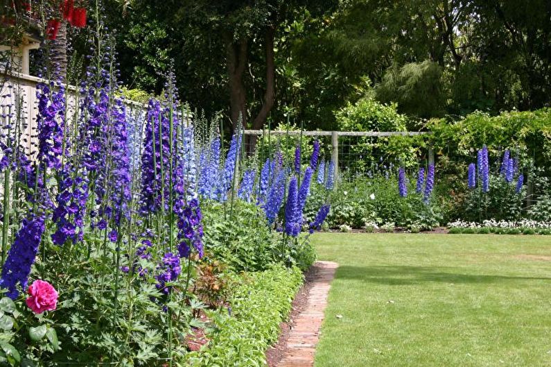 Fiori per il cottage - Piante verticali alte