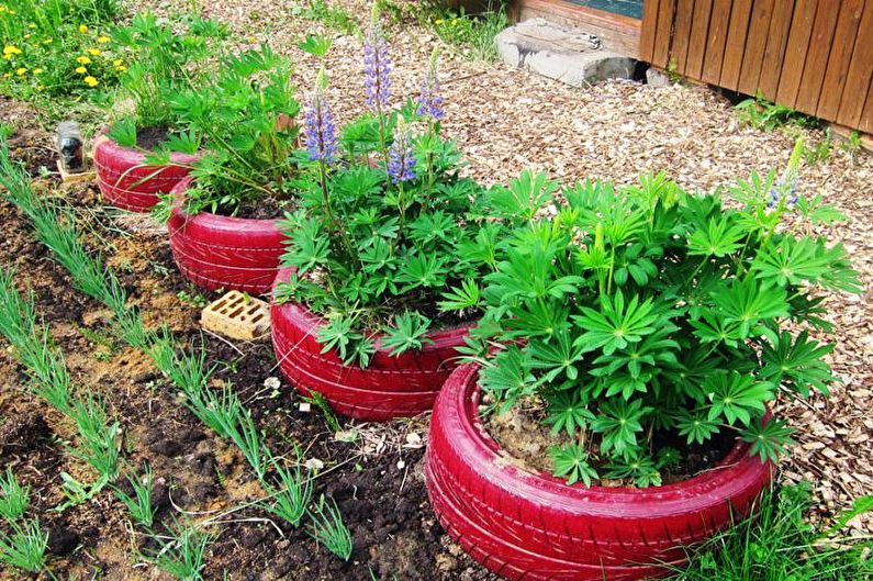 Flores para el jardín - Macizo de flores en llantas