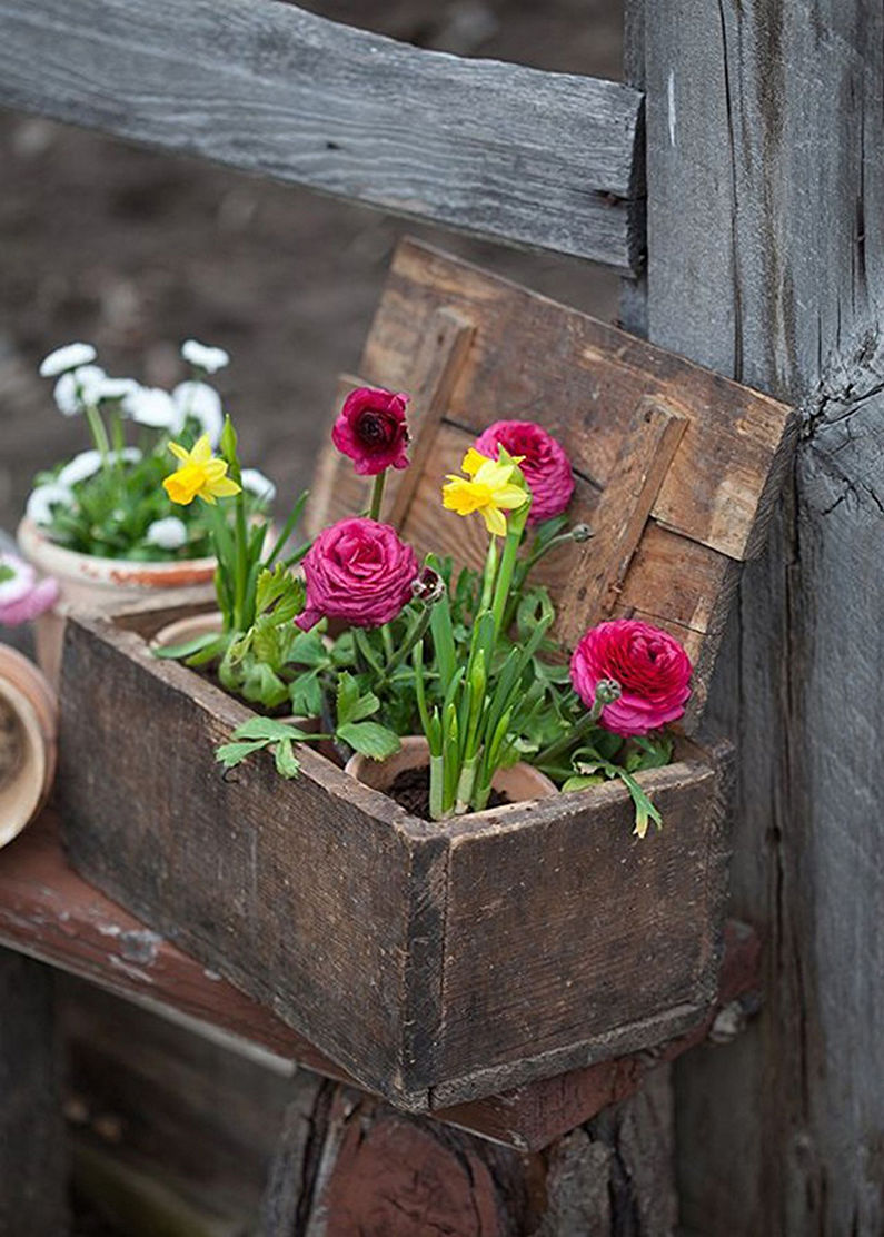 Flowers for the Cottage: jardí de flors amb coses antigues