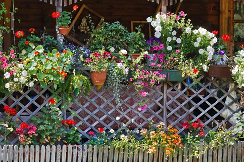 Blommor för trädgården - Vertikal blommaträdgård