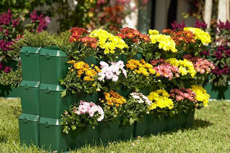 Flowers for the garden - Vertical flower garden