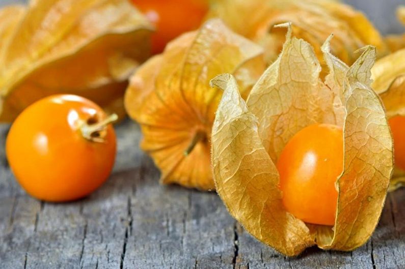 Plantaardige Physalis