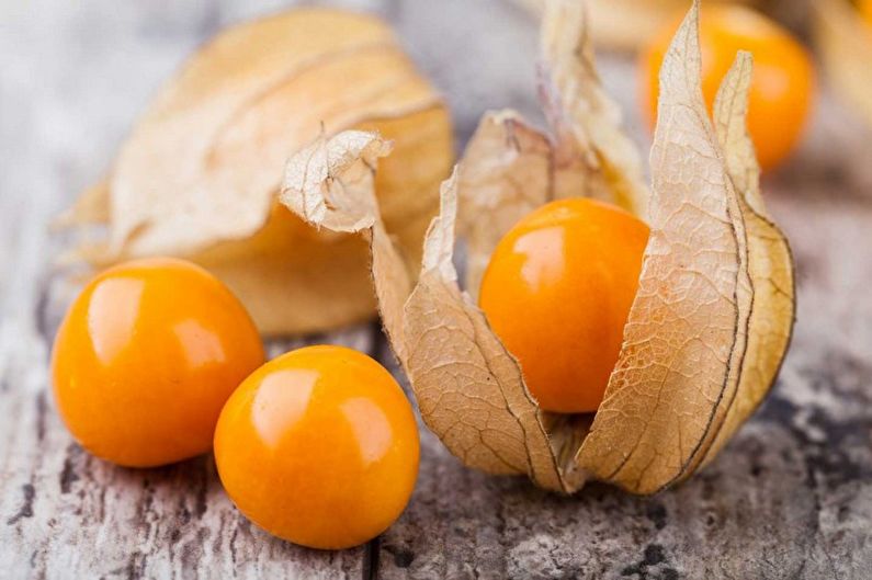 Physalis - fotografija