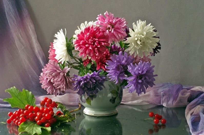 Asters - photo