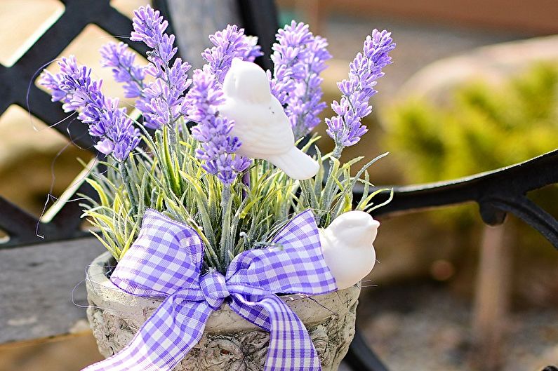 Lavanda - fotografija