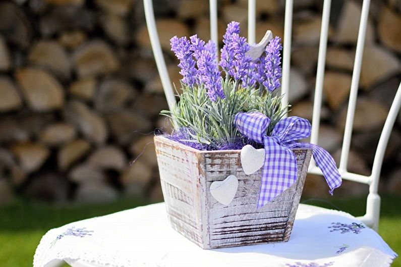 Lavanda - fotografija