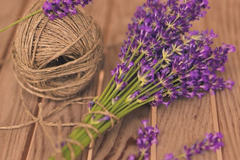 Lavanda - fotografija