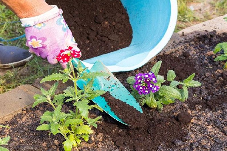 Verbena - Fertilizzanti e condimenti