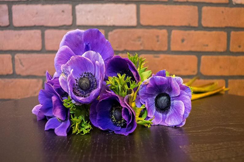 Anemoner - foto