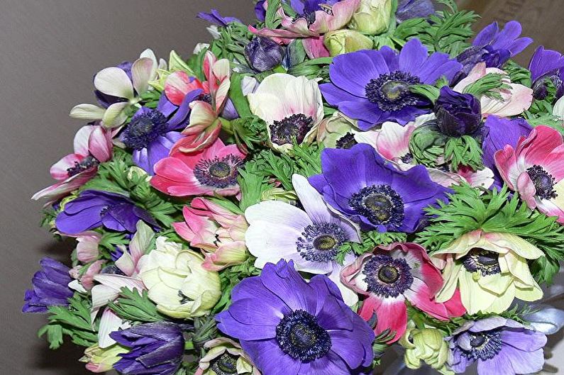 Anemones - foto