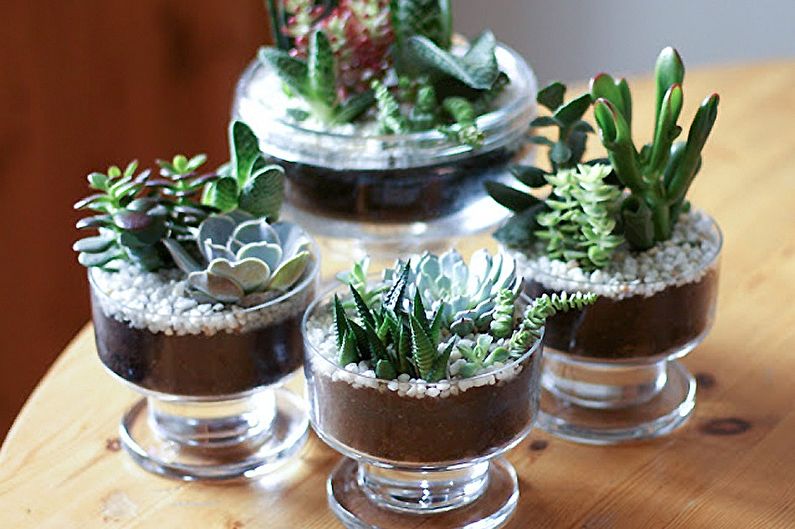 Homemade Cacti - Photo