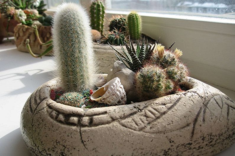 Homemade Cacti - Photo