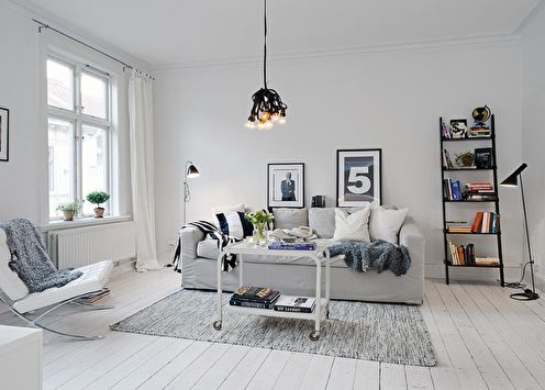 70+ white living room design ideas (photo)