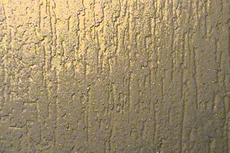 Bọ cánh cứng Stucco - ảnh