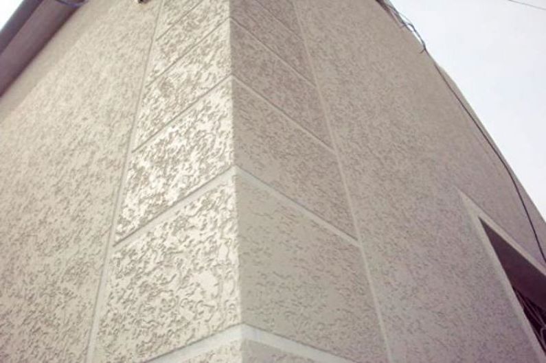 Bọ cánh cứng Stucco - ảnh