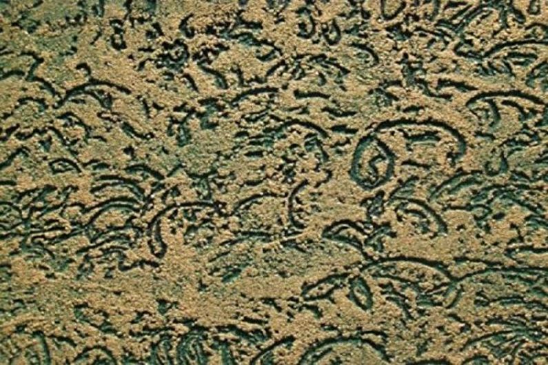 Bọ cánh cứng Stucco - ảnh