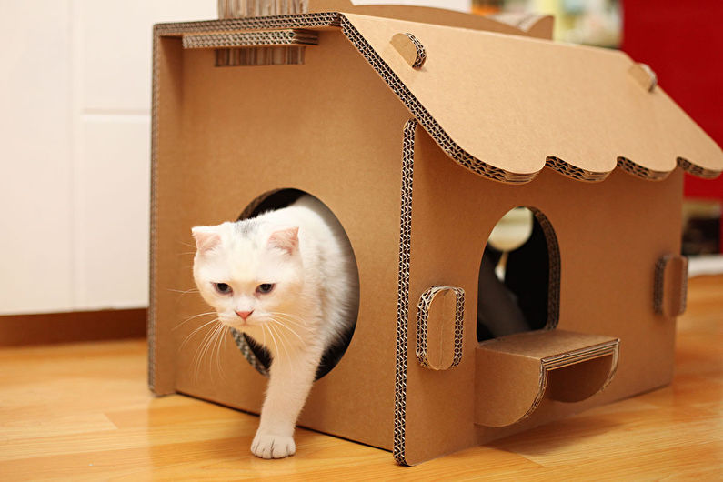 Rumah Kucing - Rumah Karton