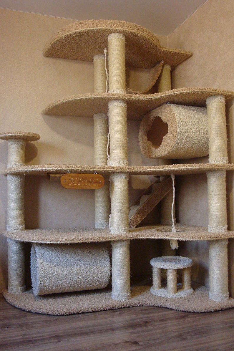 Cat House: complexos de jocs