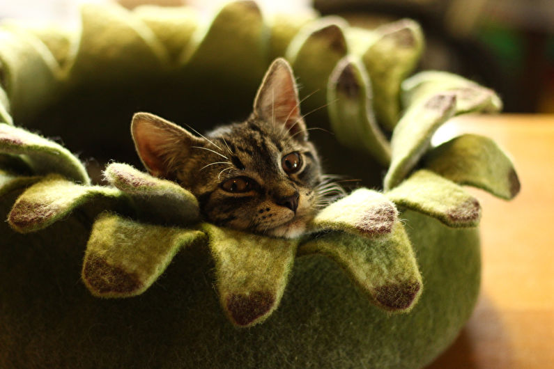 DIY kattenhuis - foto