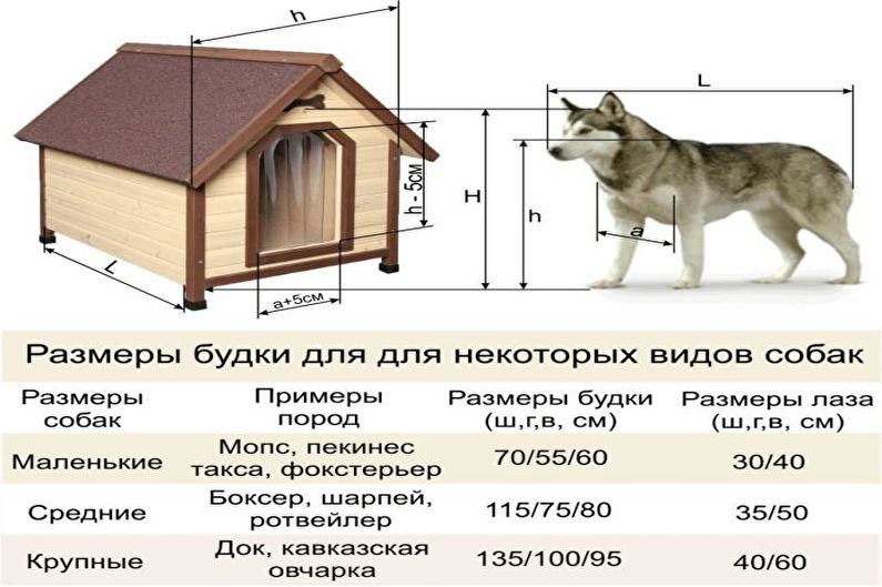 Köpek için DIY Kuşhane - Kutu