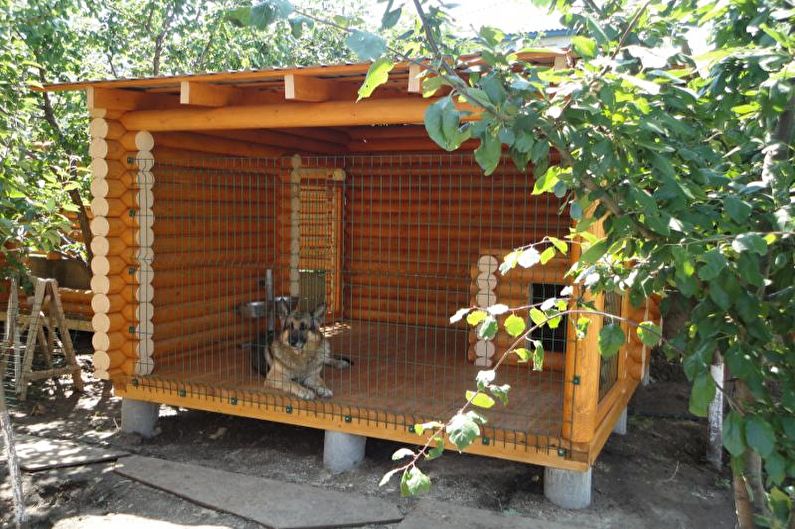 DIY aviary for dogs - photo