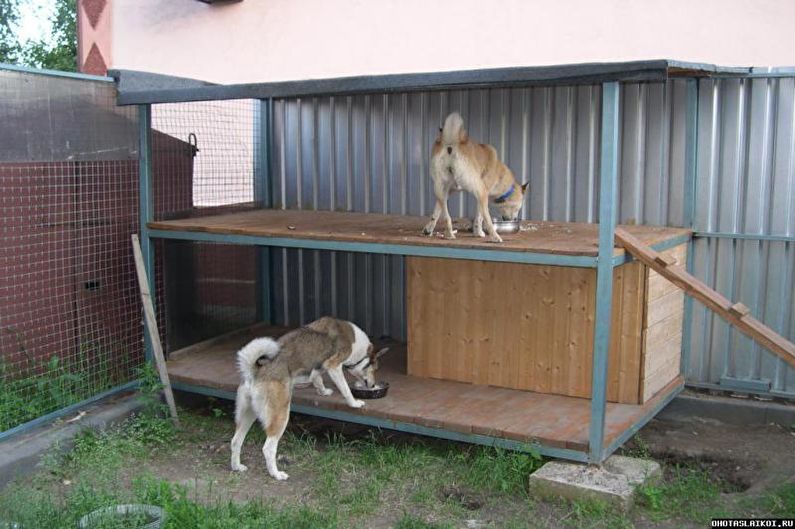 Köpekler için DIY büyük kuş kafesi - resim