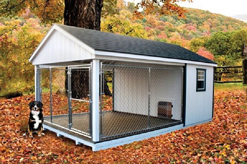 DIY aviary for dogs - photo