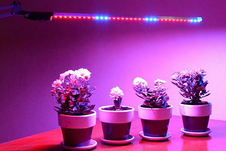 Lámparas para plantas - LED phytolamps