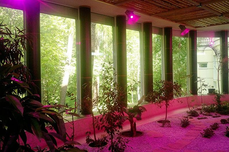 Lâmpadas para plantas - phytolamps LED